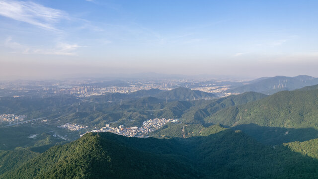 森林城市深圳风光