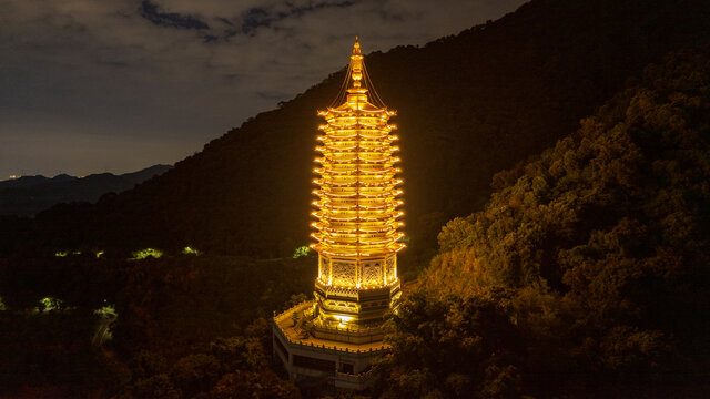 仙湖植物园宝塔夜景