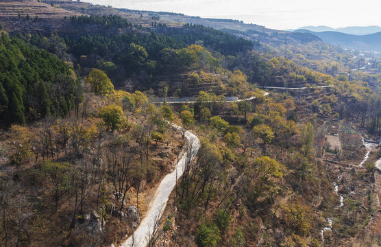 山路弯弯