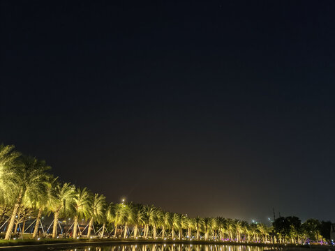 欢乐港湾夜景