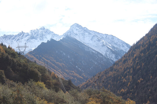 雪山秋色