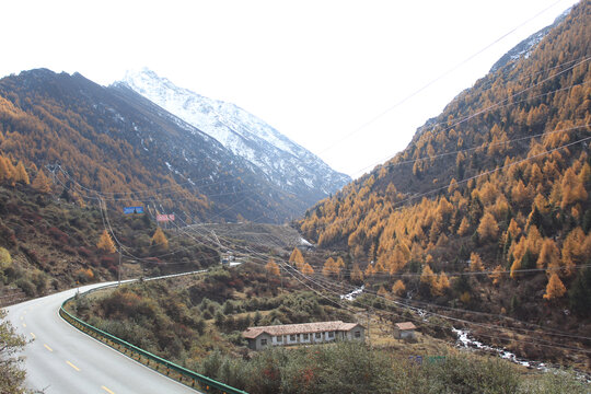 阿坝沿途秋景