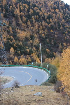 秋色里的弯道公路