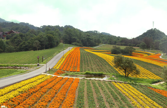 重庆巫溪红池坝