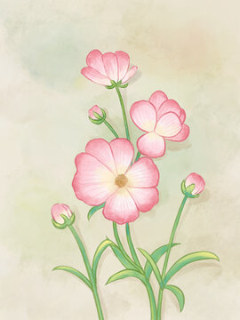 國(guó)風(fēng)手繪植物花卉蝴蝶洋牡丹插畫