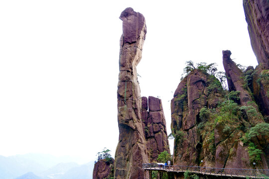 三清山巨蟒出山景点