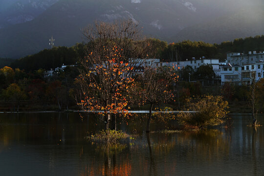 大别山风光红叶