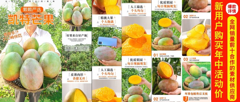凱特芒果詳情