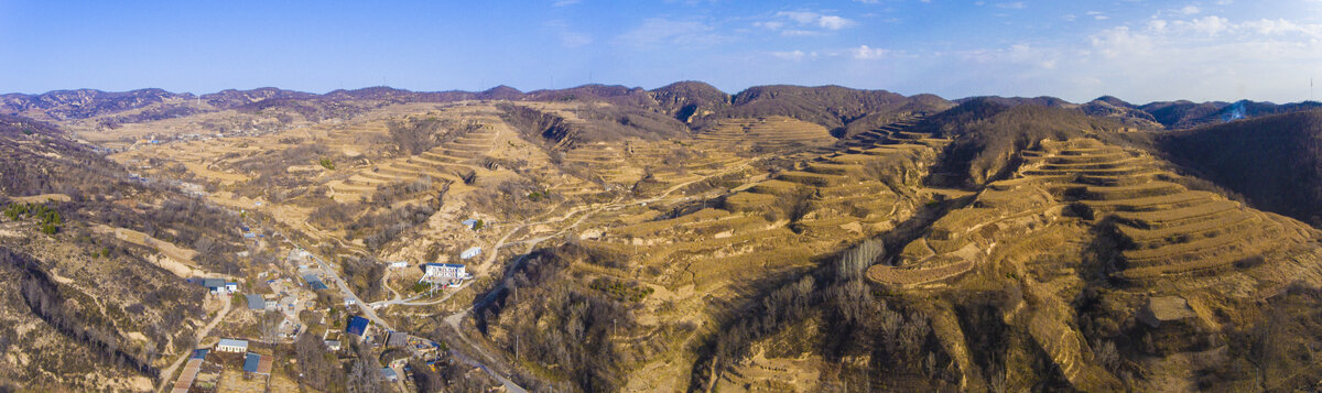 青化砭玉米地全景