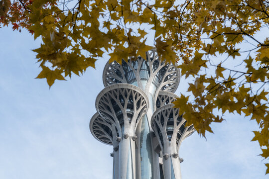 北京秋天黄叶下的奥林匹克塔