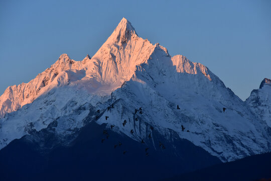 香格里拉梅里雪山日照金山