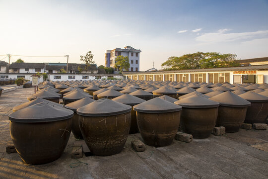 酿制酱油