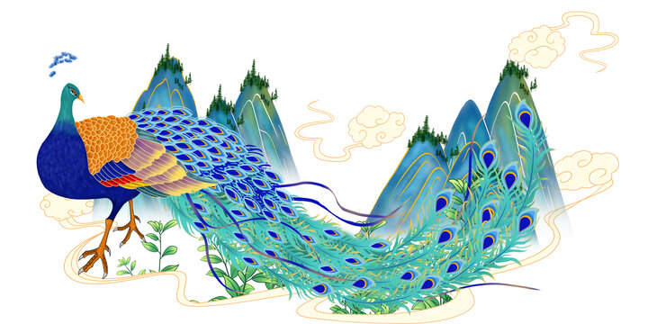孔雀插畫