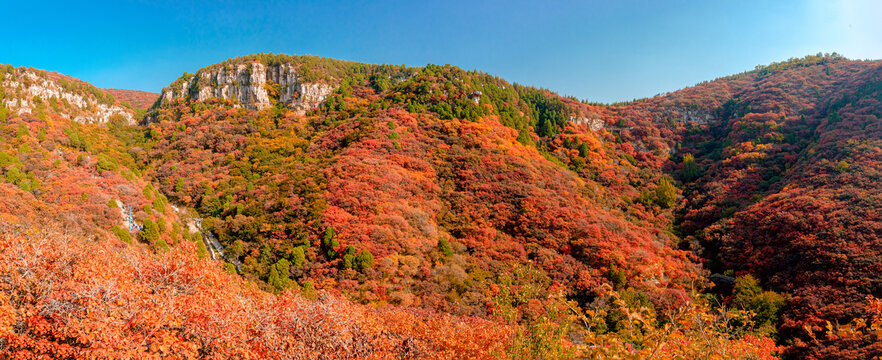 临朐石门坊红叶