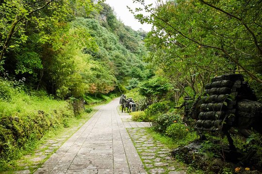 丽江东巴谷雪山峡谷演艺公园