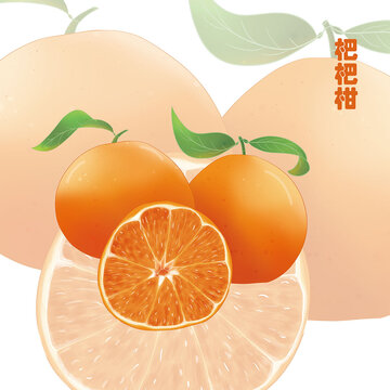 手繪杷杷柑