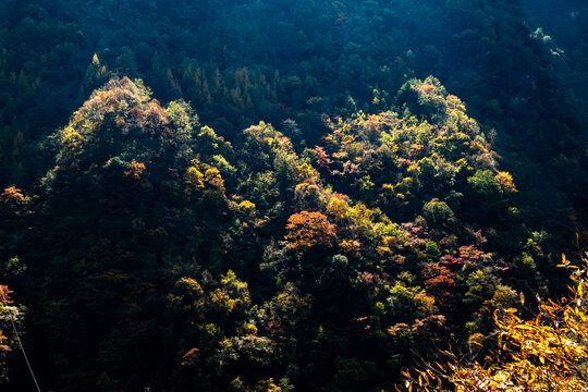 神农架秋天风景