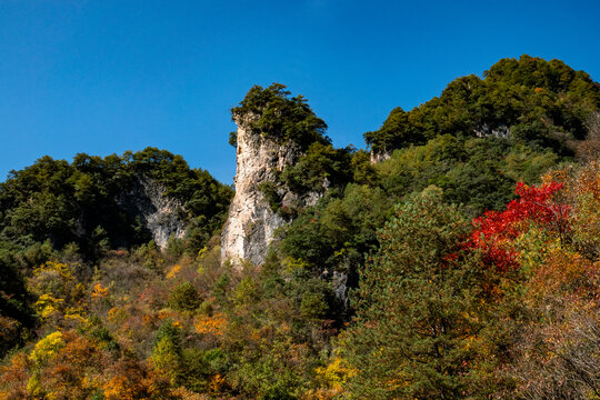 神农架秋天风景