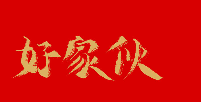 好家伙