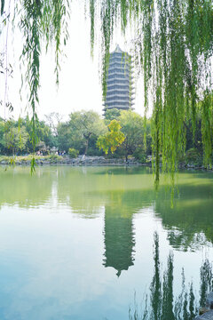 北京大学未名湖