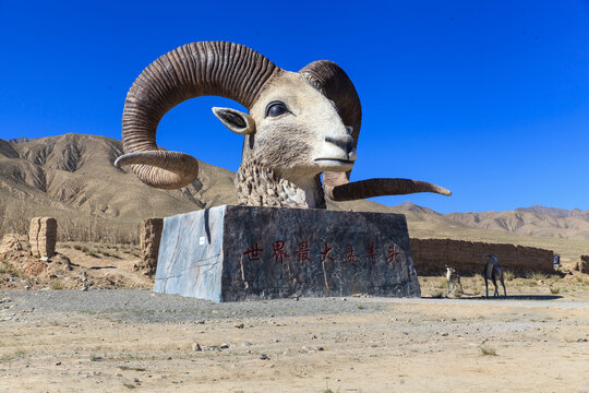 世界最大盘羊头