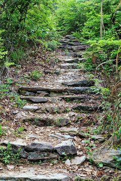 山中步道