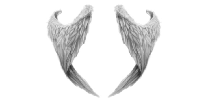 天使翅膀