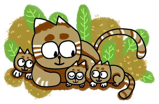 小貓林德