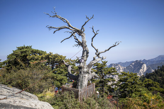 西岳华山风光