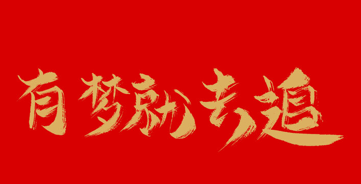 有夢就去追