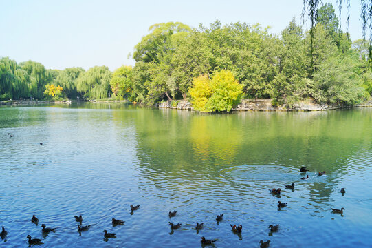 北京大学最美校园