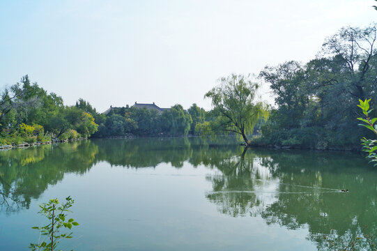 北大末名湖