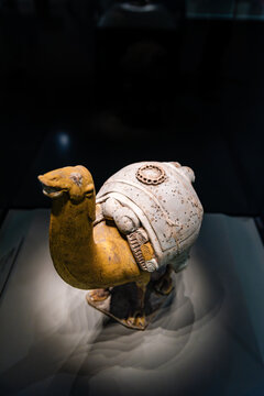 中国国家博物馆的北齐陶骆驼