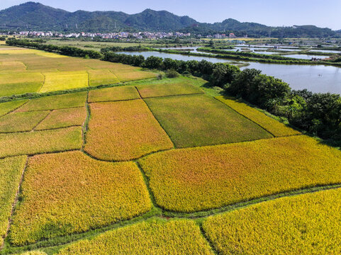 广东惠州风光