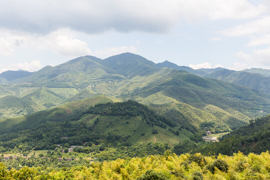 高山森林