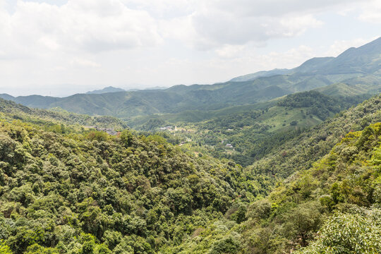 高山森林