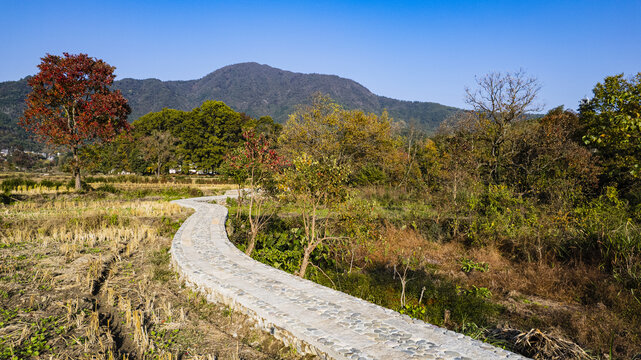 塔川秋色