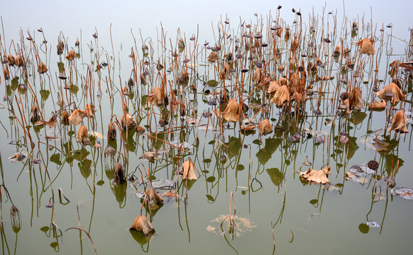 水面残荷