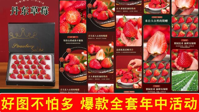 丹東草莓詳情