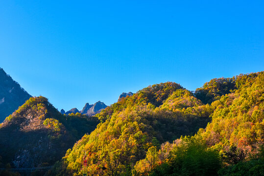 秦岭秋色