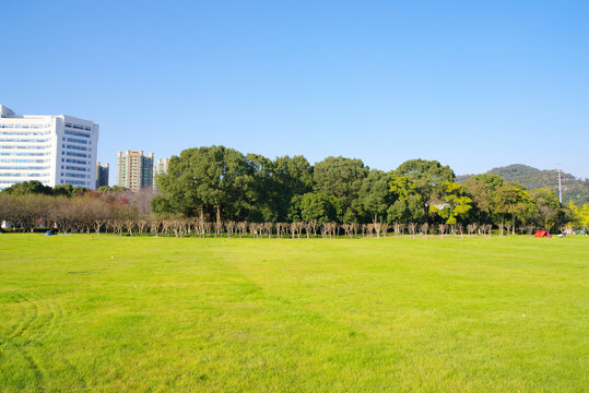 城市公园草坪绿化