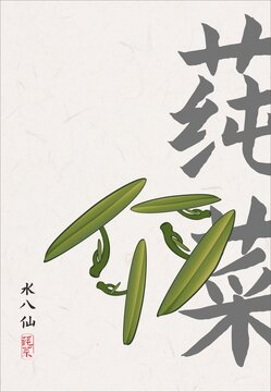 手繪莼菜