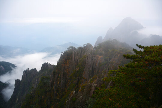 大山云海