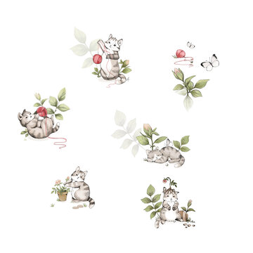 小貓插畫