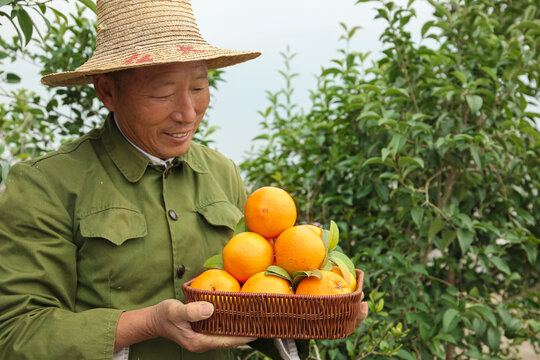 手里拿着的赣南脐橙