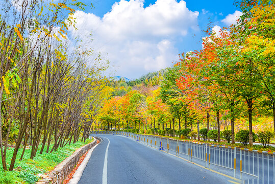 栾川秋色