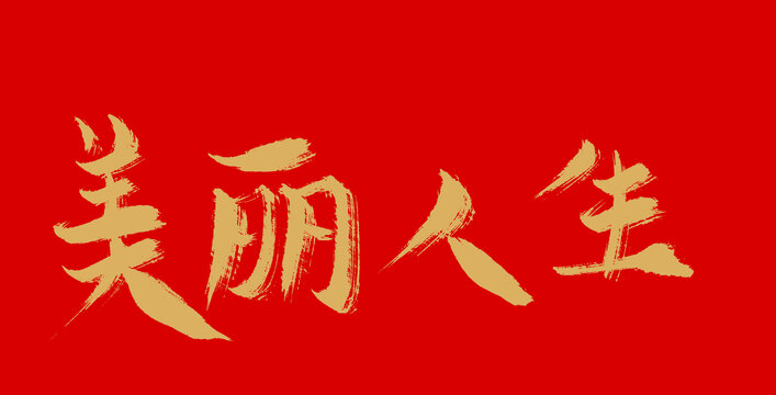 美麗人生