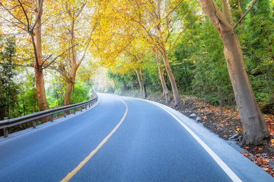 彩林公路秋色