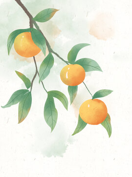 古风水彩植物果实橘子