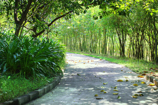 植物园